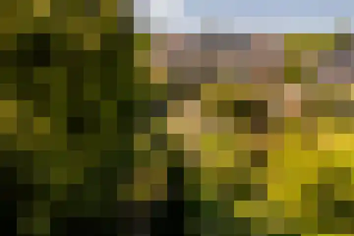 v d Meerweg 5 b Oostvoorne thumbnail 40