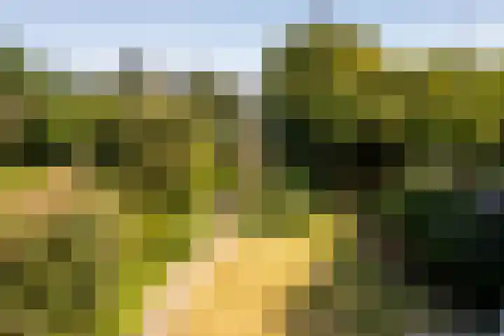 v d Meerweg 5 b Oostvoorne thumbnail 41