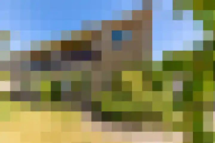 v d Meerweg 5 b Oostvoorne thumbnail 43