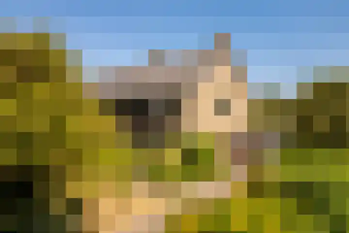 v d Meerweg 5 b Oostvoorne thumbnail 44