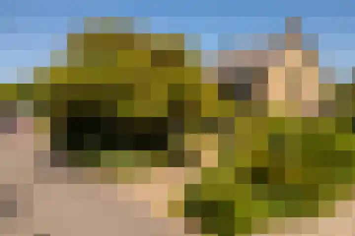 v d Meerweg 5 b Oostvoorne thumbnail 45