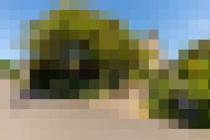 v d Meerweg 5 b Oostvoorne thumbnail 46