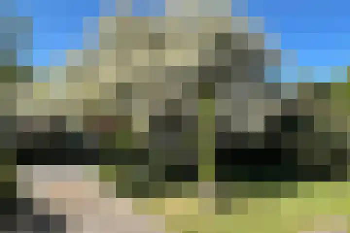 v d Meerweg 5 b Oostvoorne thumbnail 47