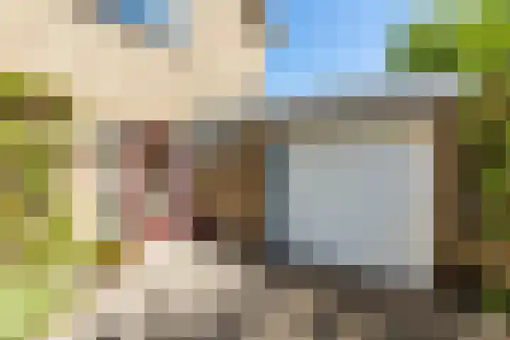 v d Meerweg 5 b Oostvoorne thumbnail 5