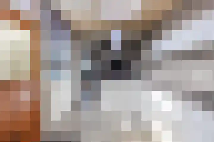 v Leijdenstraat 10 Rockanje thumbnail 10