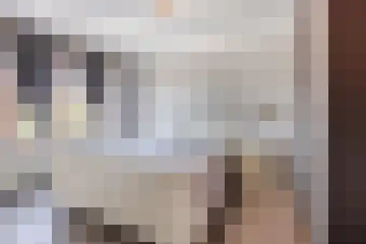 v Leijdenstraat 10 Rockanje thumbnail 16