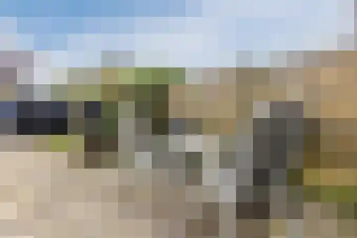v Leijdenstraat 10 Rockanje thumbnail 23