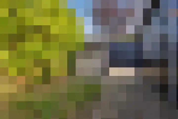 v Leijdenstraat 10 Rockanje thumbnail 28