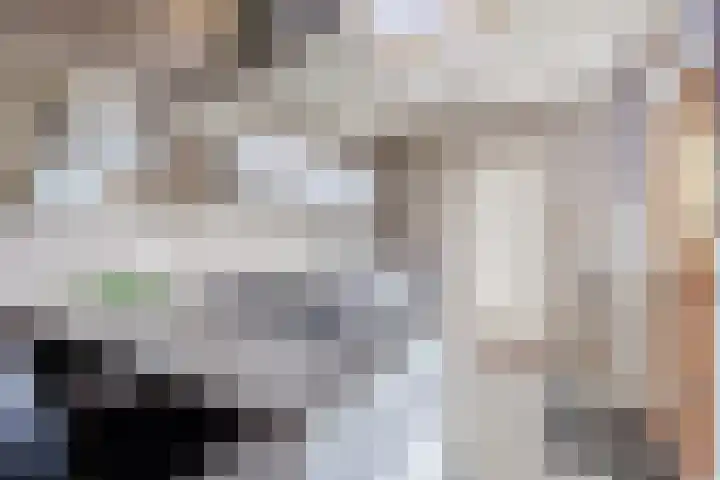 v Leijdenstraat 10 Rockanje thumbnail 8