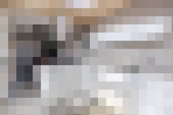 v Leijdenstraat 10 Rockanje thumbnail 9