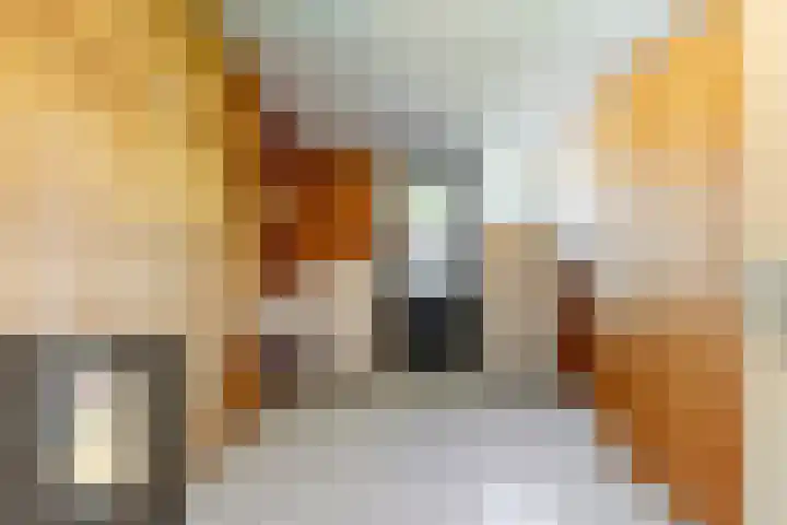 v Leijdenstraat 16 Rockanje thumbnail 17