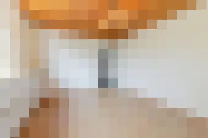 v Leijdenstraat 16 Rockanje thumbnail 21