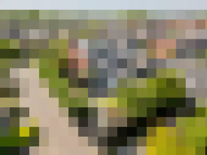 v Leijdenstraat 16 Rockanje thumbnail 4
