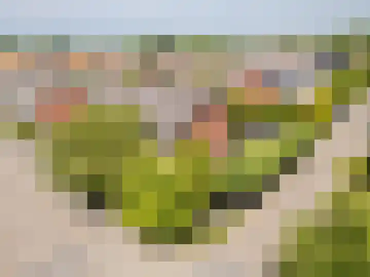 v Leijdenstraat 16 Rockanje thumbnail 5
