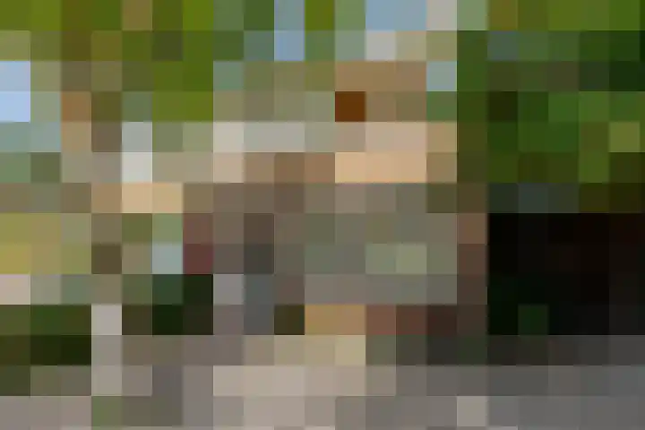 v Leijdenstraat 16 Rockanje thumbnail 6