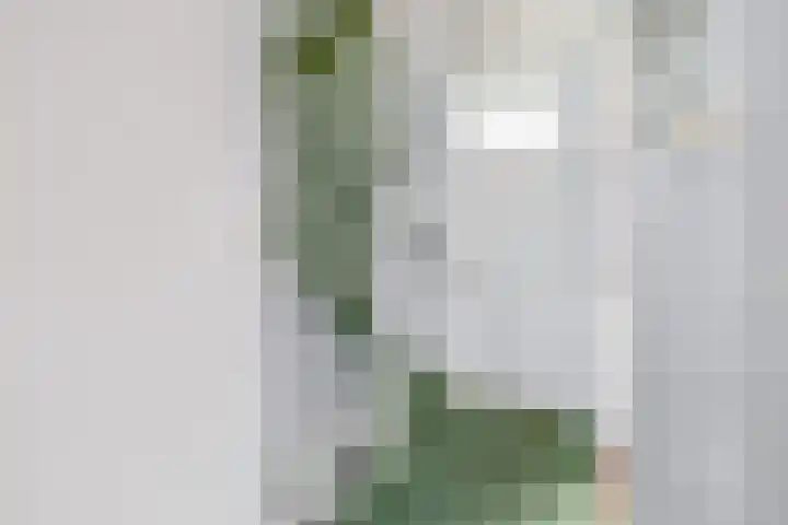 v Mecklenburg Schwerinlaan 34 Waddinxveen thumbnail 20