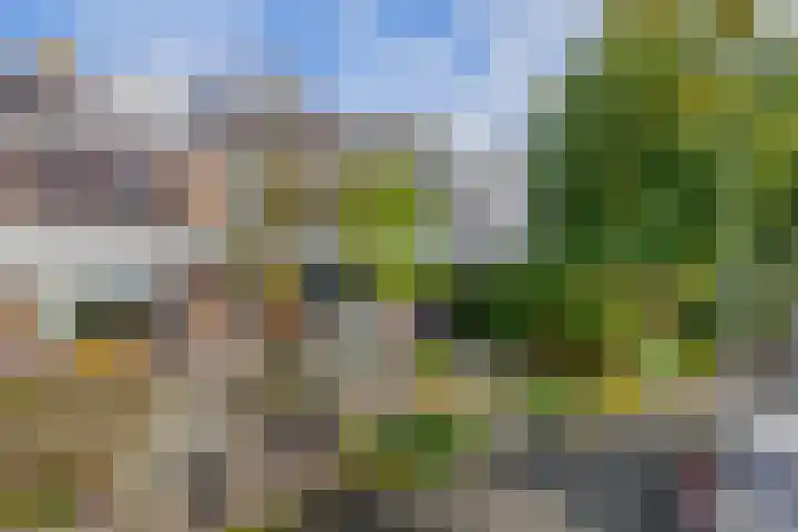 v Mecklenburg Schwerinlaan 34 Waddinxveen thumbnail 6