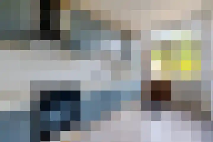 V N laan 39 Coevorden thumbnail 10