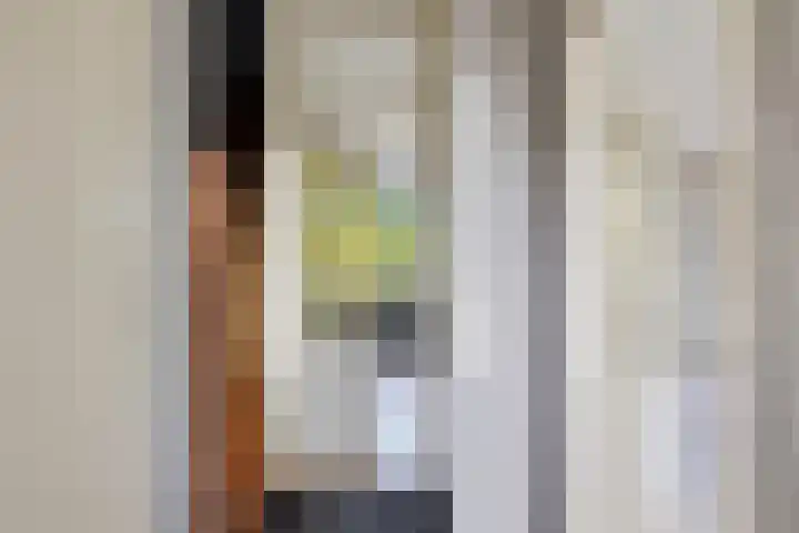 V N laan 39 Coevorden thumbnail 12