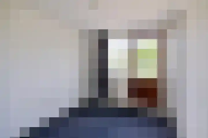 V N laan 39 Coevorden thumbnail 21