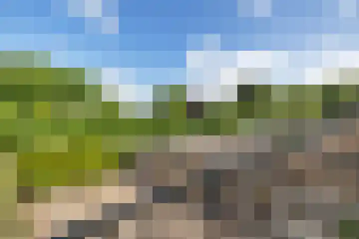 V N laan 39 Coevorden thumbnail 23