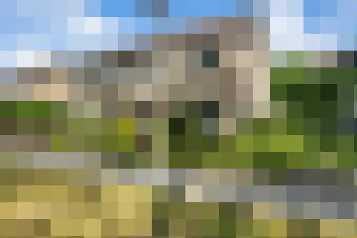 V N laan 39 Coevorden thumbnail 31