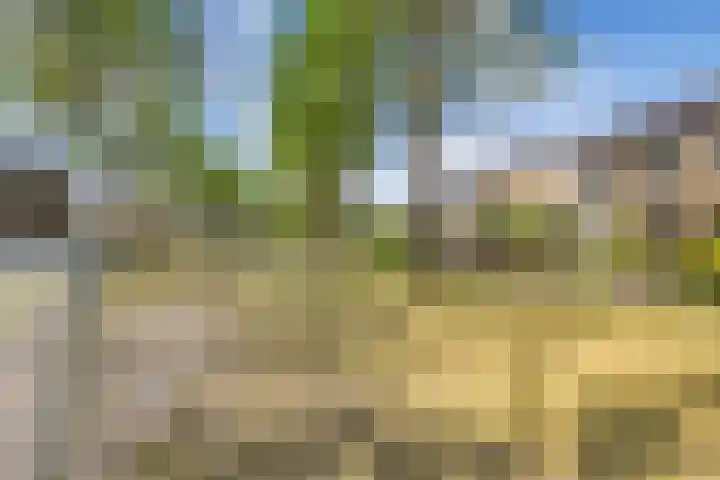 V N laan 39 Coevorden thumbnail 4