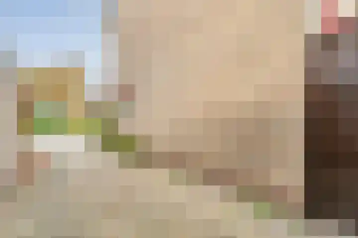 V N laan 42 Coevorden thumbnail 10