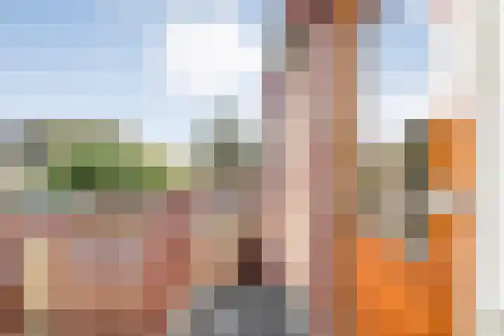 V N laan 42 Coevorden thumbnail 28