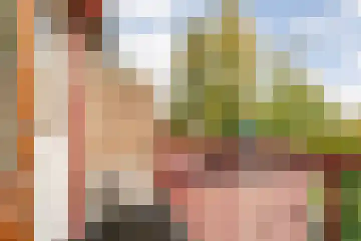 V N laan 42 Coevorden thumbnail 29