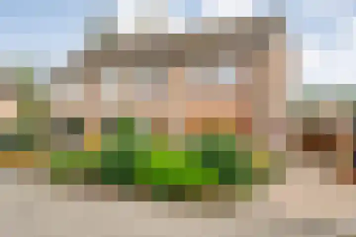 V N laan 42 Coevorden thumbnail 4