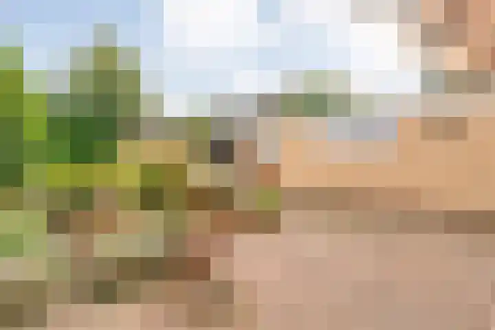 V N laan 42 Coevorden thumbnail 40