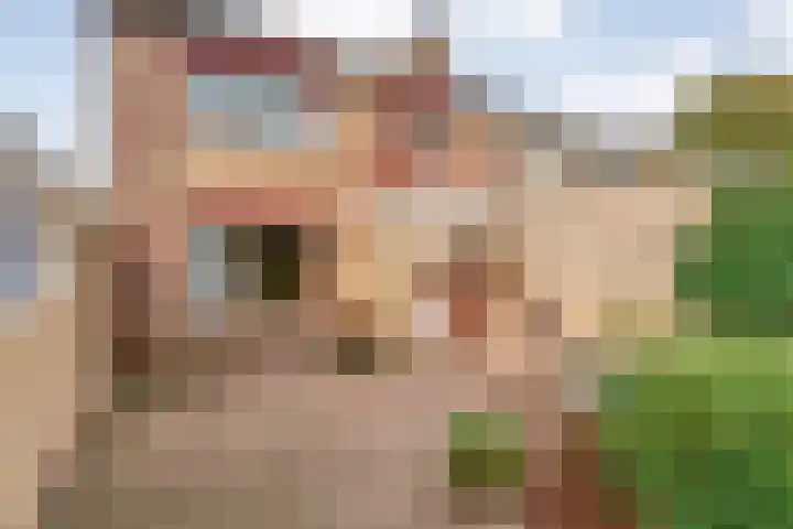 V N laan 42 Coevorden thumbnail 43