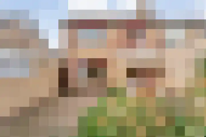 V N laan 42 Coevorden thumbnail 44