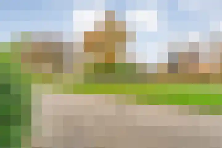 V N laan 42 Coevorden thumbnail 5