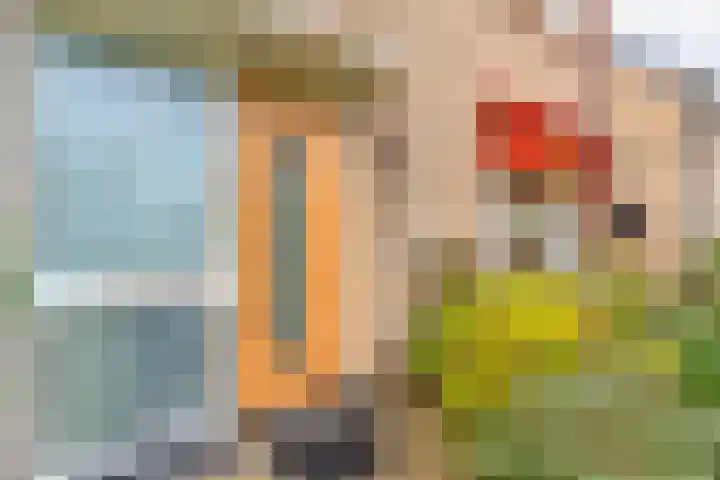 V N laan 42 Coevorden thumbnail 6