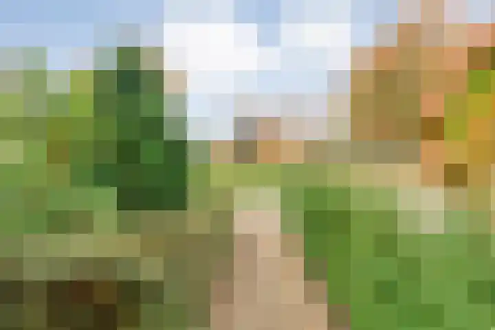 V N laan 42 Coevorden thumbnail 7