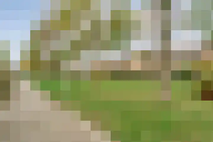 V N laan 42 Coevorden thumbnail 9