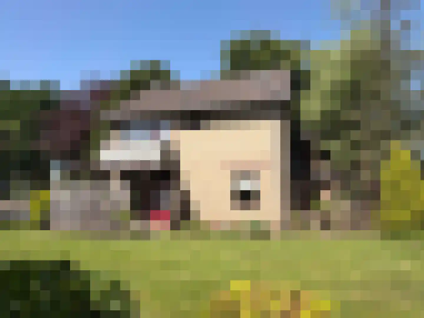 V N laan 46 Coevorden thumbnail 11