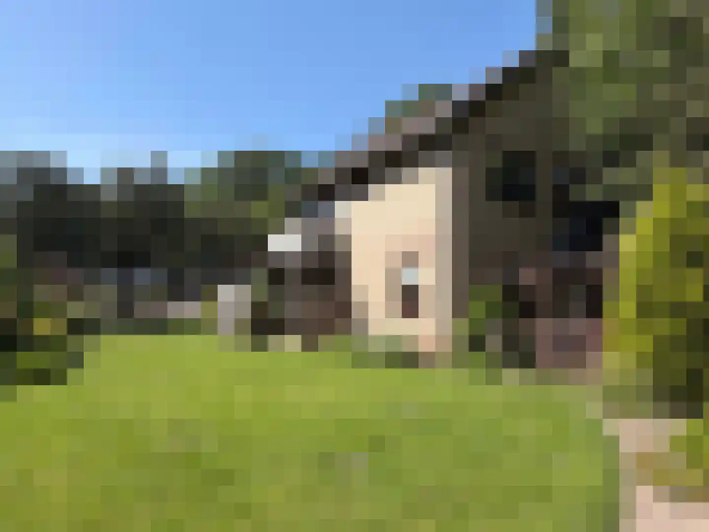 V N laan 46 Coevorden thumbnail 13