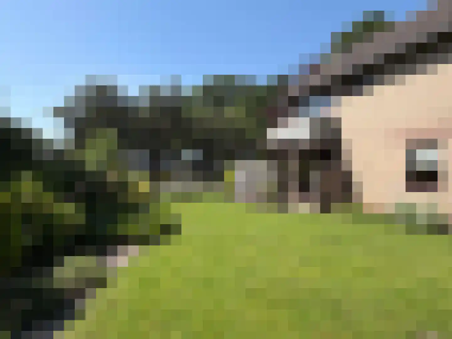 V N laan 46 Coevorden thumbnail 14