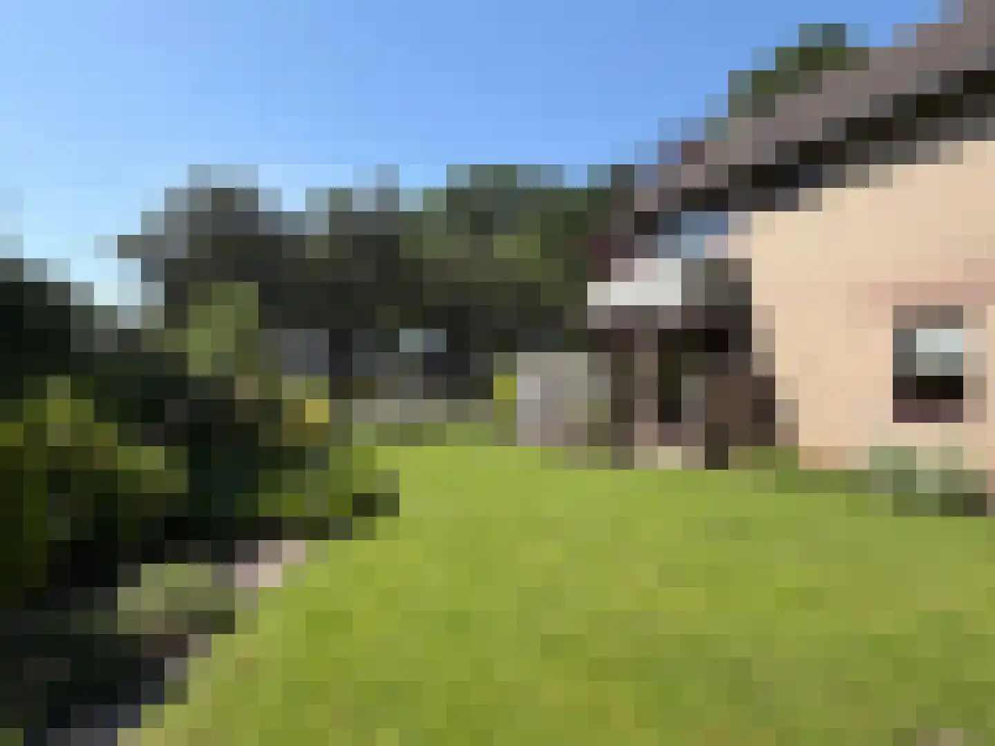 V N laan 46 Coevorden thumbnail 14