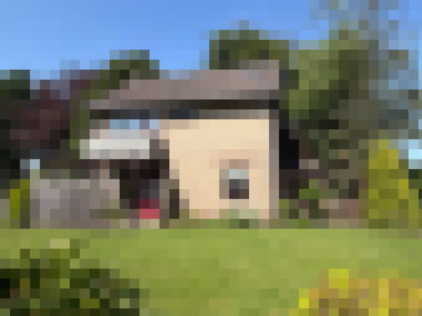 V N laan 46 Coevorden thumbnail 15