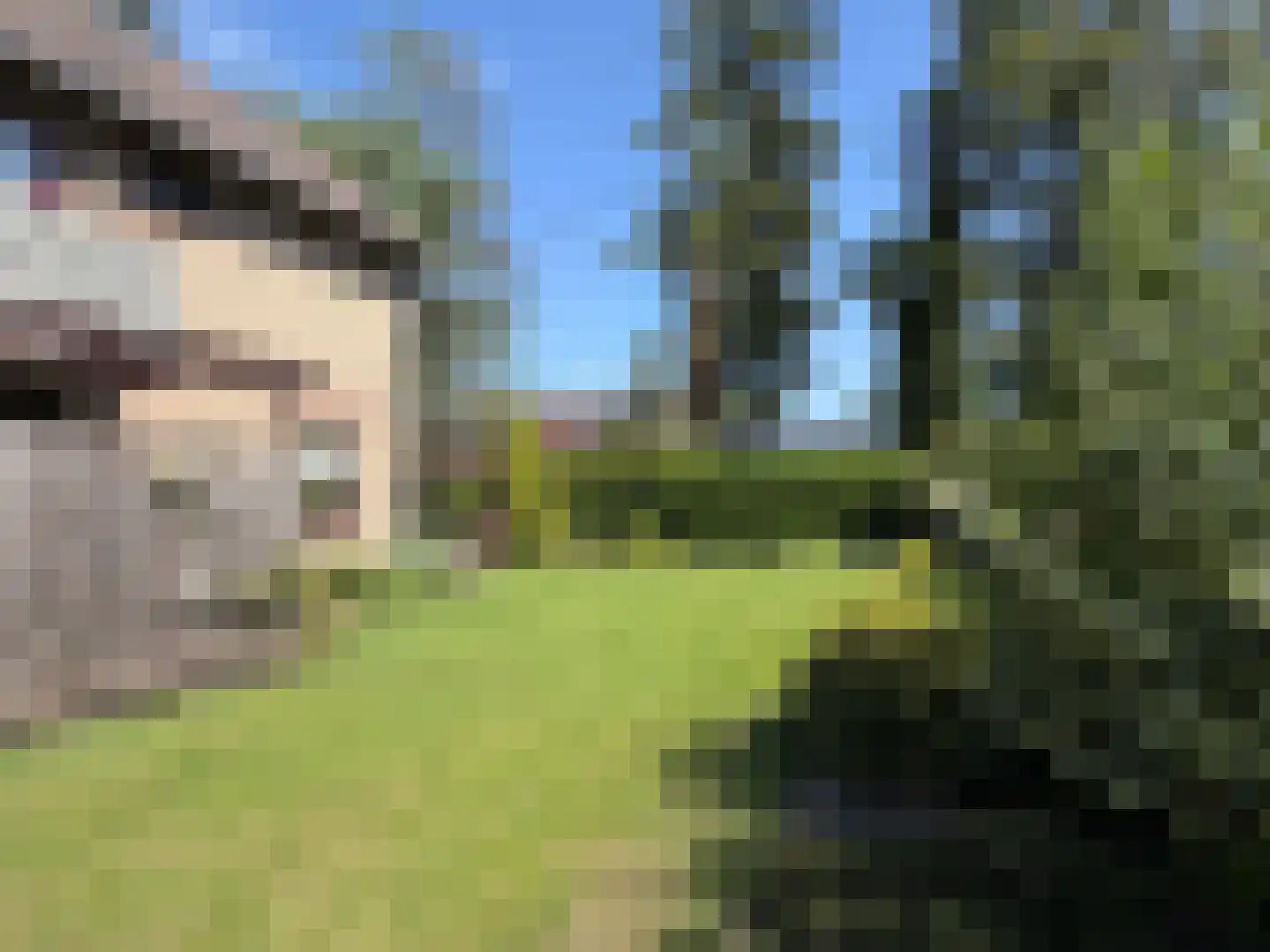 V N laan 46 Coevorden thumbnail 16