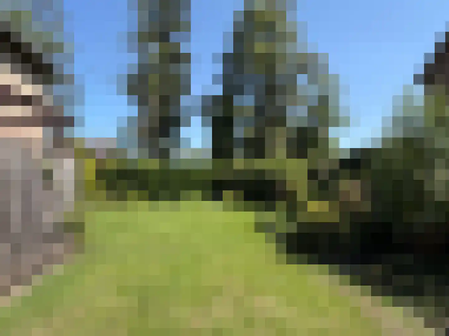 V N laan 46 Coevorden thumbnail 17
