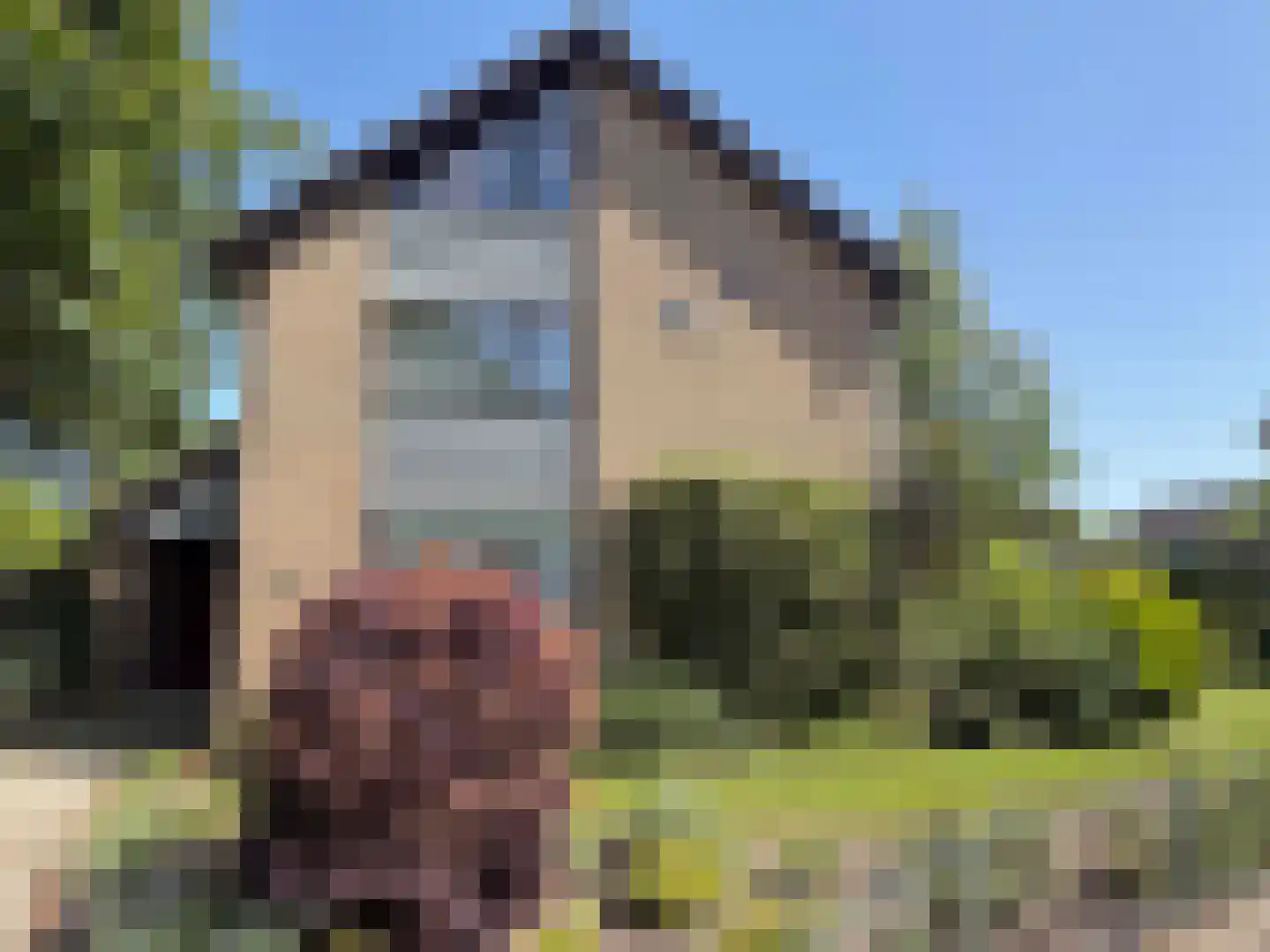 V N laan 46 Coevorden foto 3