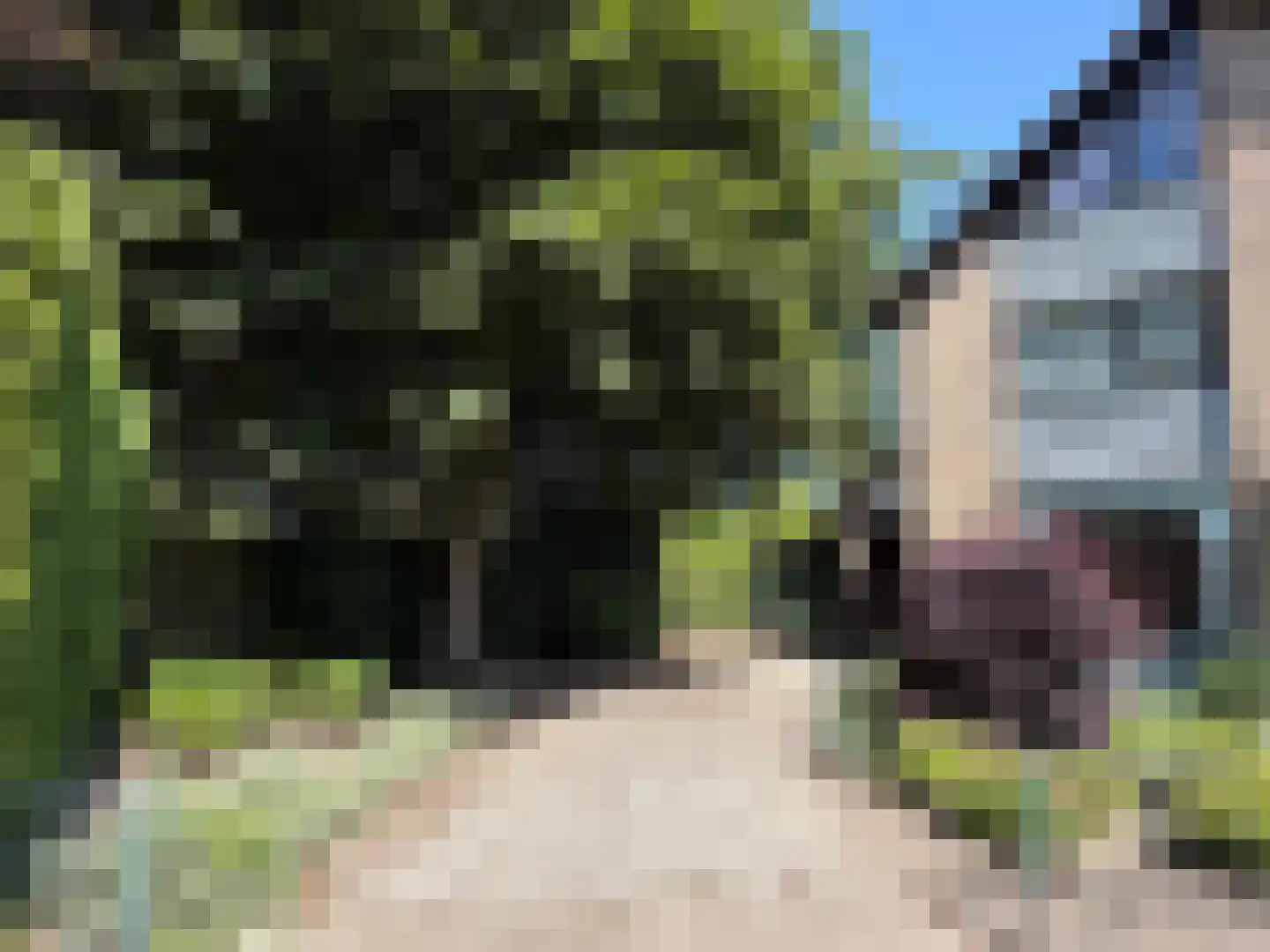 V N laan 46 Coevorden thumbnail 4