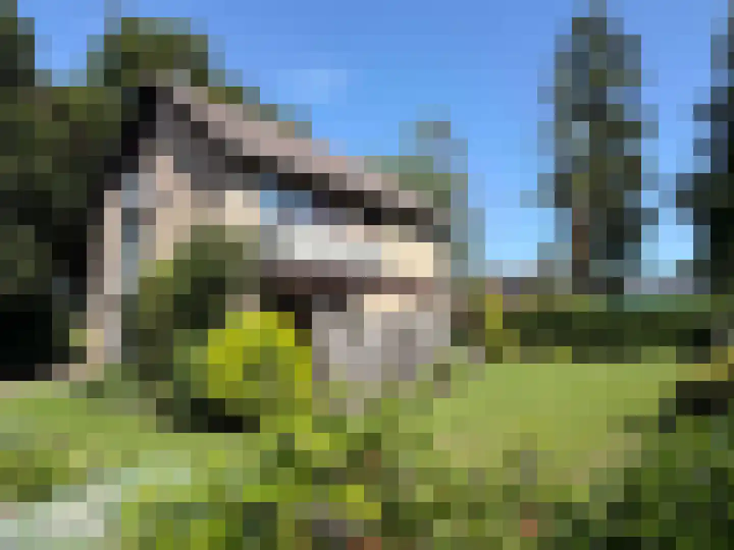 V N laan 46 Coevorden thumbnail 6