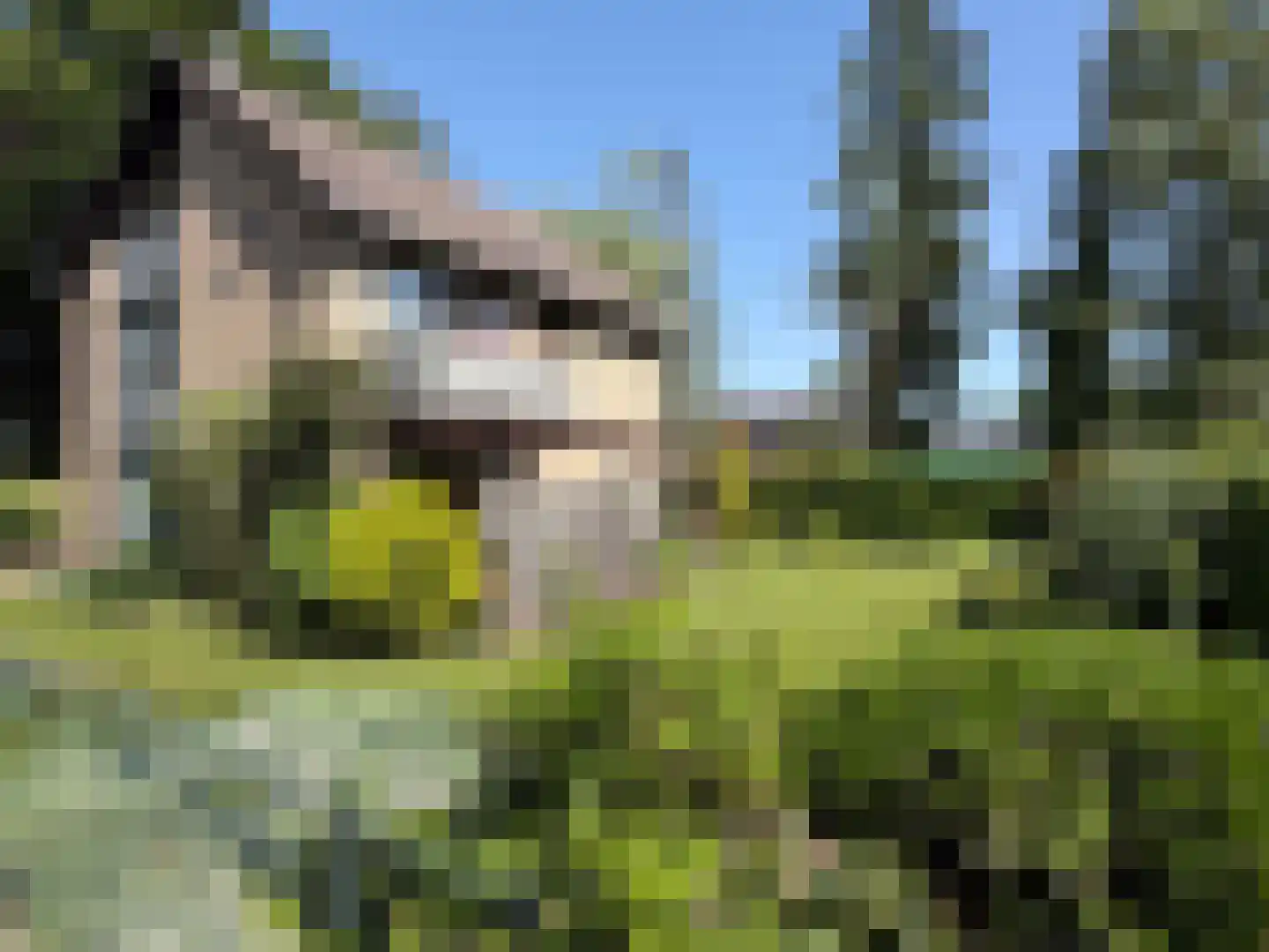 V N laan 46 Coevorden thumbnail 7