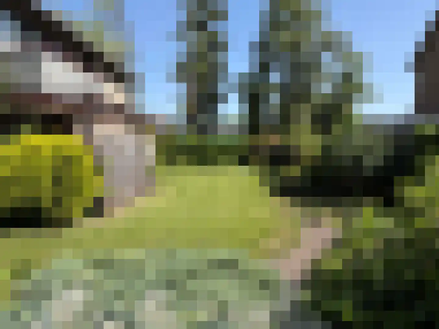 V N laan 46 Coevorden thumbnail 8